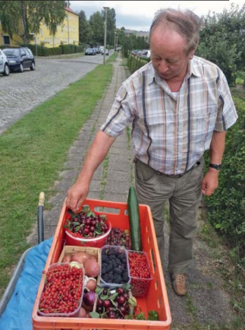 frisch_geerntet