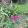 DSCF0004