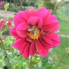 DSCF0005