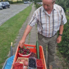 Bilder
