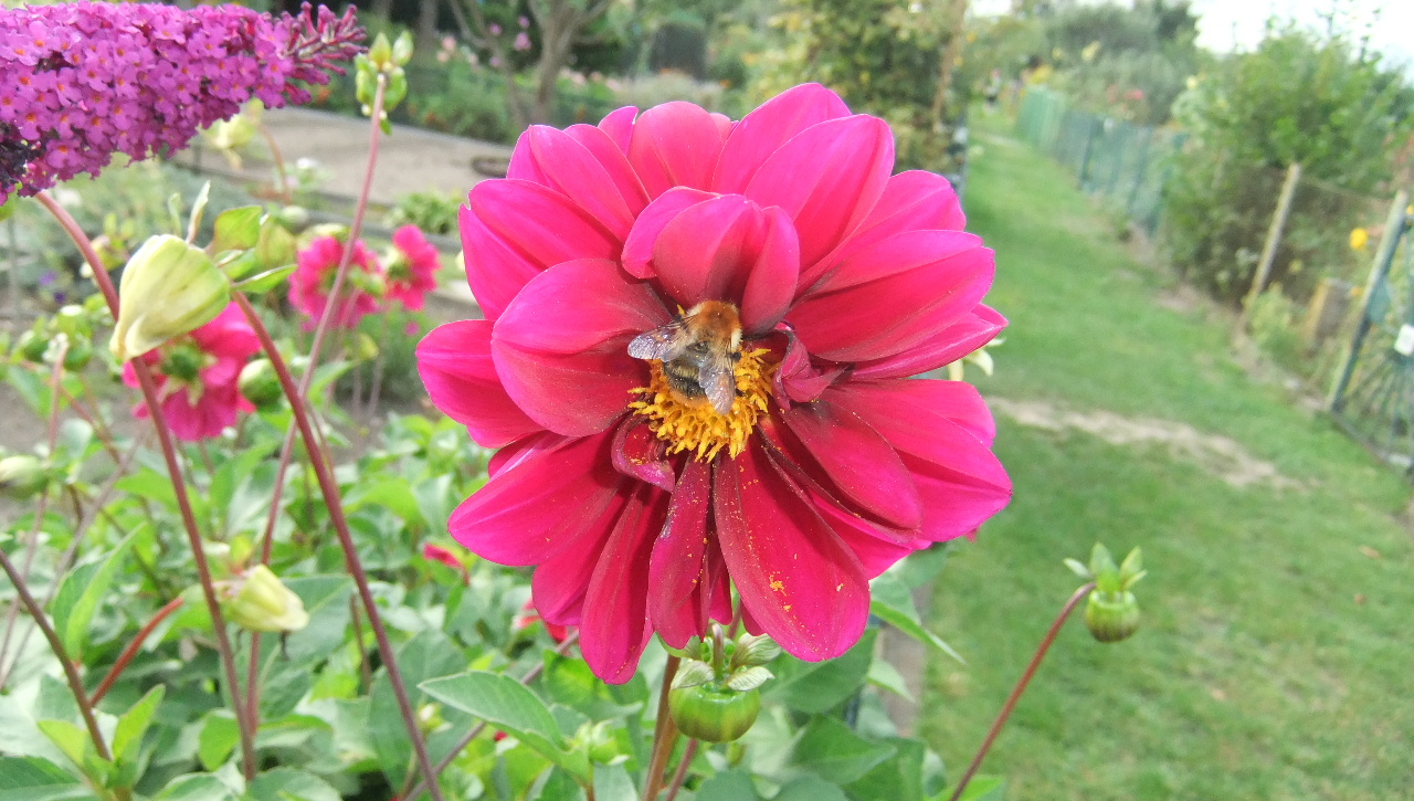 DSCF0005
